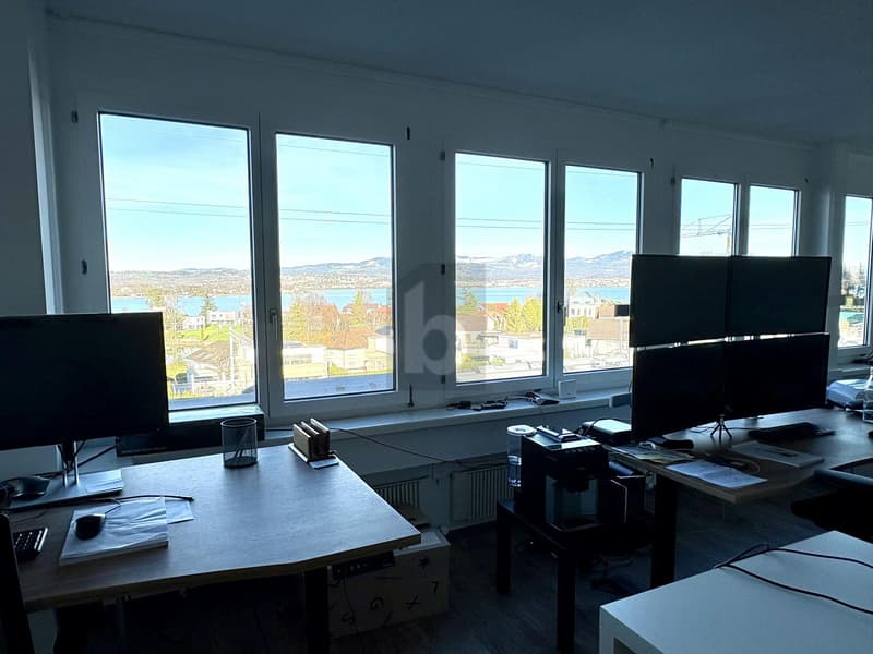 Représentatif avec vue sur le lac (4)