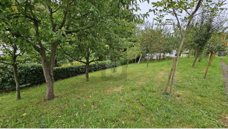 WOHNOASE MIT GARTENPARADIES (5)