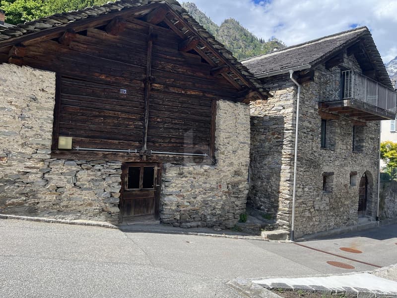 Legendary Rustic for Renovation Enthusiasts (4)