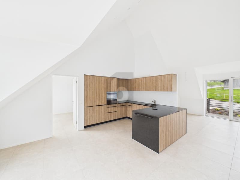 PREMIER OCCUPANT - AVEC GALERIE, 3 BALCONS & VUE SUR LE JURA (3)