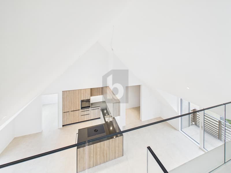 PREMIER OCCUPANT - AVEC GALERIE, 3 BALCONS & VUE SUR LE JURA (4)