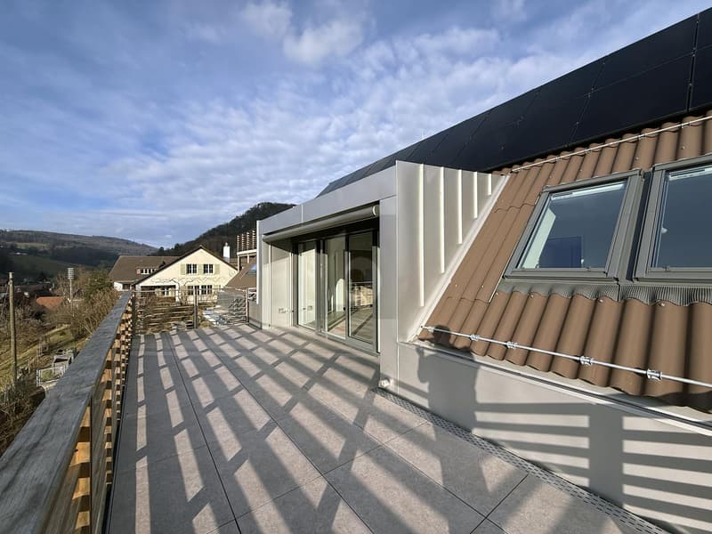 PREMIER OCCUPANT - AVEC GALERIE, 3 BALCONS & VUE SUR LE JURA (1)
