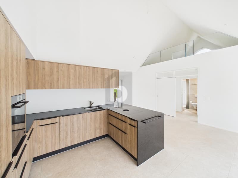 PREMIER OCCUPANT - AVEC GALERIE, 3 BALCONS & VUE SUR LE JURA (2)