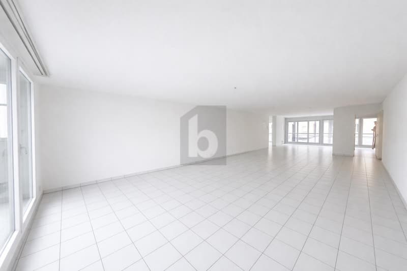 GRAND ESPACE EN PLEIN CENTRE (1)