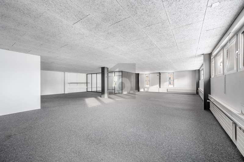 Superficie attractive dans un emplacement central (3)