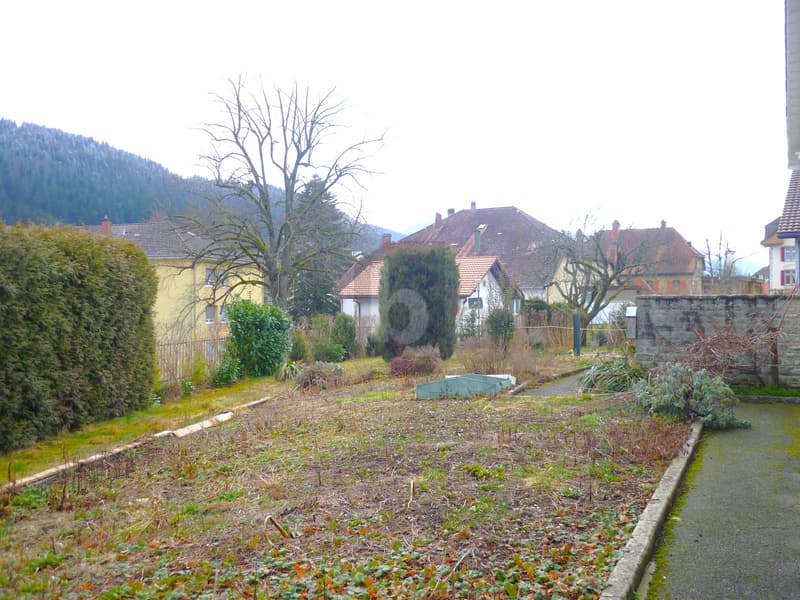 Buildable land with investor potential (3)