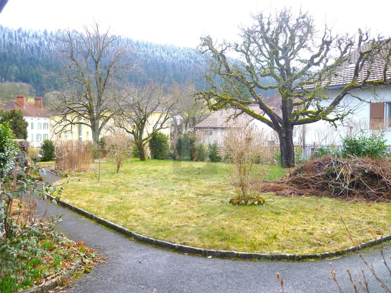 Buildable land with investor potential (1)