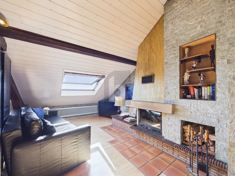 MAGNIFICENT FURNISHED ATTIC, BETWEEN LAKE AND STATION! (2)