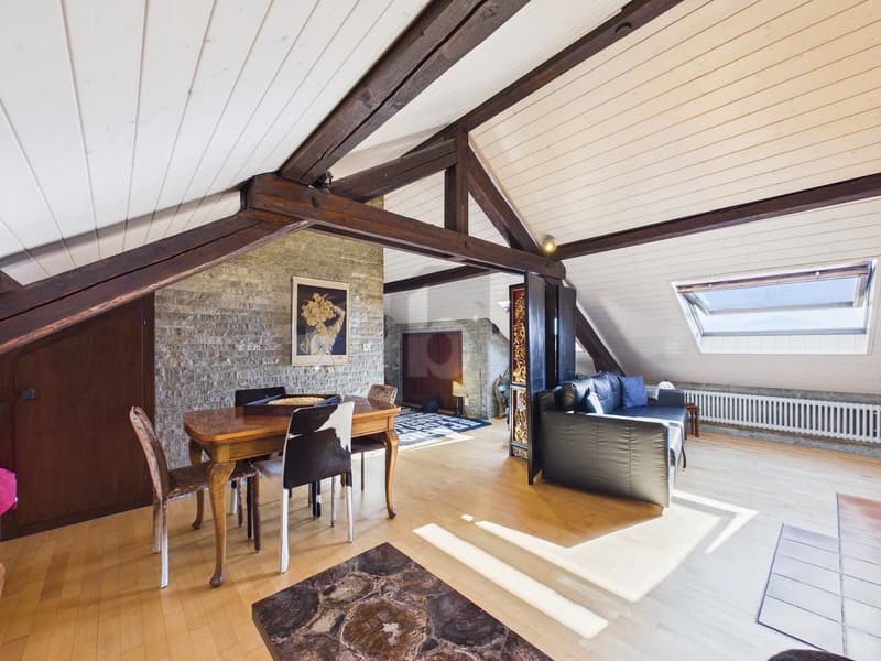 MAGNIFICENT FURNISHED ATTIC, BETWEEN LAKE AND STATION! (3)