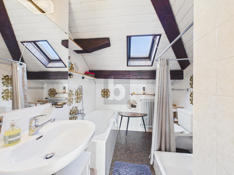 MAGNIFICENT FURNISHED ATTIC, BETWEEN LAKE AND STATION! (5)