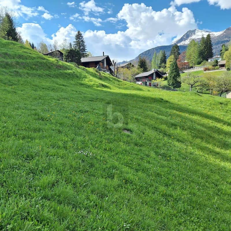 In a quiet and sunny position with a view (1)