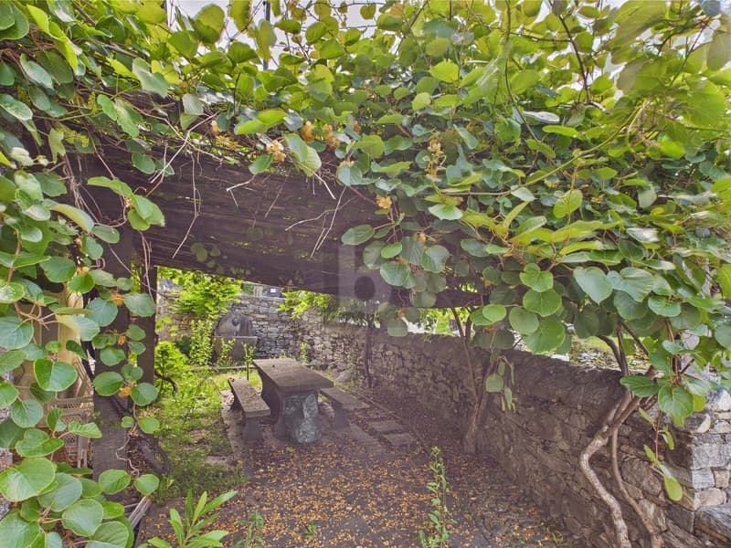 TYPICAL TICINESE SUNNY HOUSE WITH GARDEN (2)