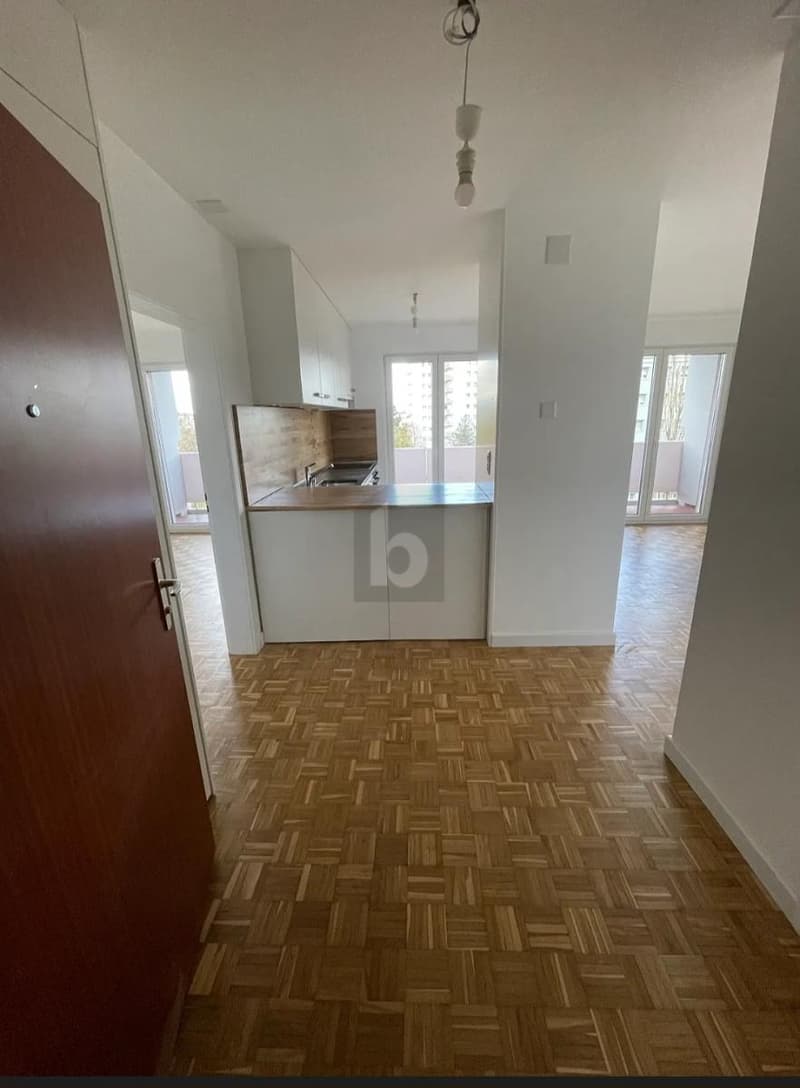 ENTIRELY RENOVATED IN FRIBOURG (4)