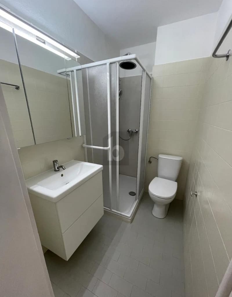 ENTIRELY RENOVATED IN FRIBOURG (3)