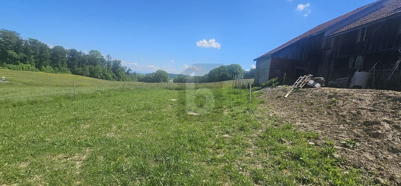 EXCEPTIONAL PRICE! TO RENOVATE IN A BARN (4)