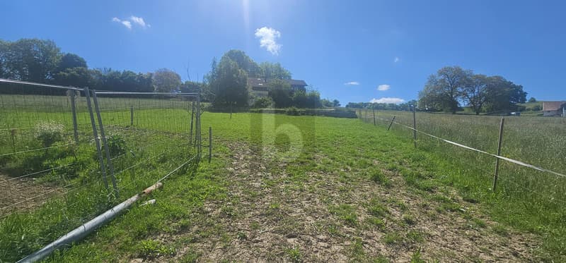 EXCEPTIONAL PRICE! TO RENOVATE IN A BARN (3)