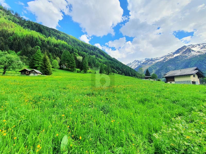 CONSTRUCTIBLE, AGRICULTURAL AND FOREST LAND (1)