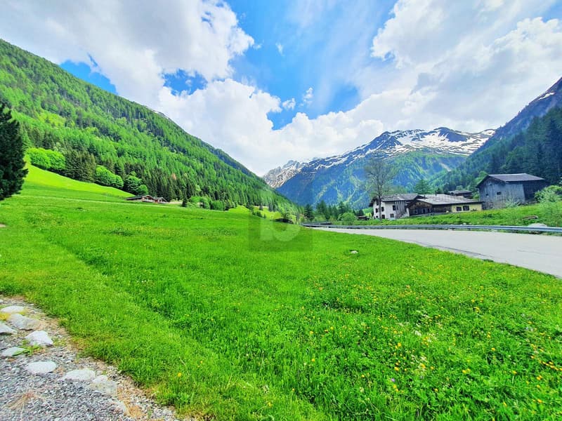 CONSTRUCTIBLE, AGRICULTURAL AND FOREST LAND (3)