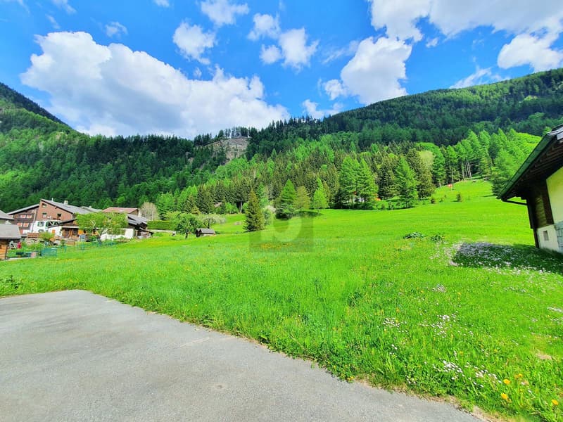 CONSTRUCTIBLE, AGRICULTURAL AND FOREST LAND (2)