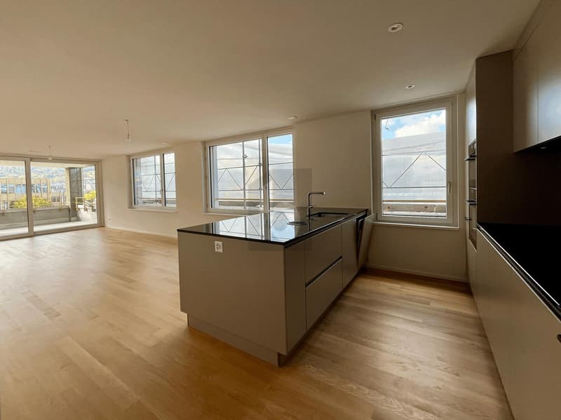 PRIMA OCCUPAZIONE: AMPIO BALCONE, VISTA SULL'ÜETLIBERG (2)