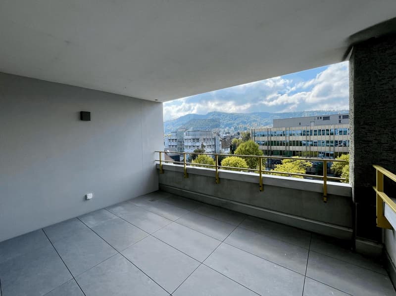 PRIMA OCCUPAZIONE: AMPIO BALCONE, VISTA SULL'ÜETLIBERG (1)