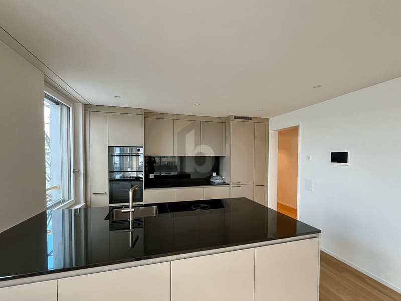 PRIMA OCCUPAZIONE: AMPIO BALCONE, VISTA SULL'ÜETLIBERG (3)