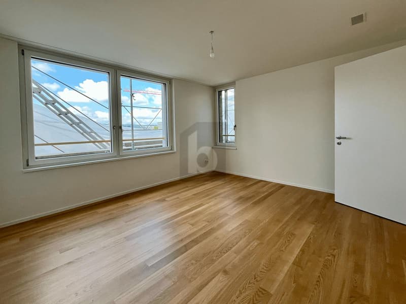 PRIMA OCCUPAZIONE: AMPIO BALCONE, VISTA SULL'ÜETLIBERG (4)