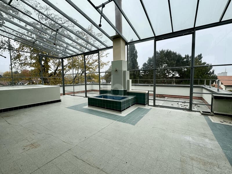 DUPLEX DER AUSSERGEWÖHNLICHKEIT - GARTEN VON 670M2 + DACHTERRASSE (3)