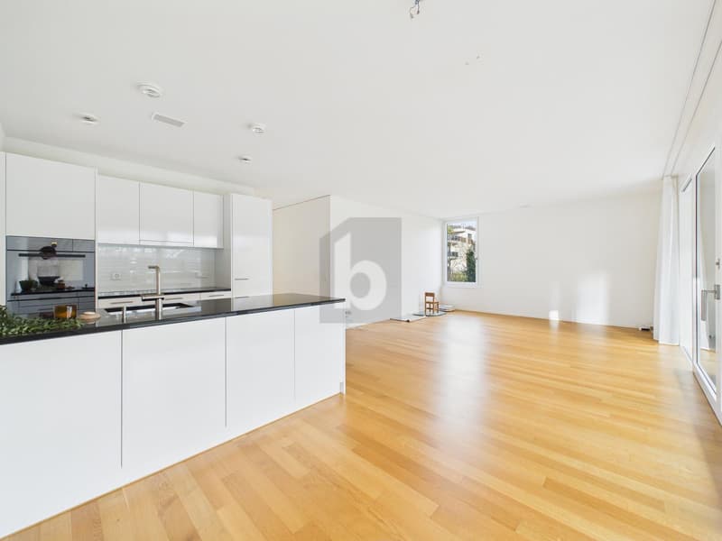 Moderne avec jardin et whirlpool (3)