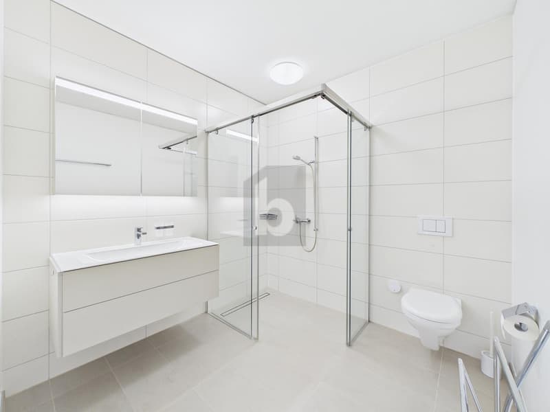 Moderne avec jardin et whirlpool (2)