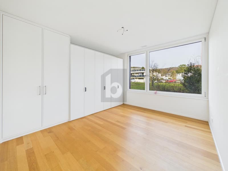 Moderne avec jardin et whirlpool (4)