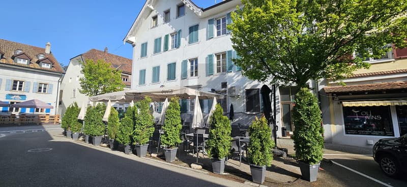 AU CENTRE VILLE RENDEMENT DE 7% (1)
