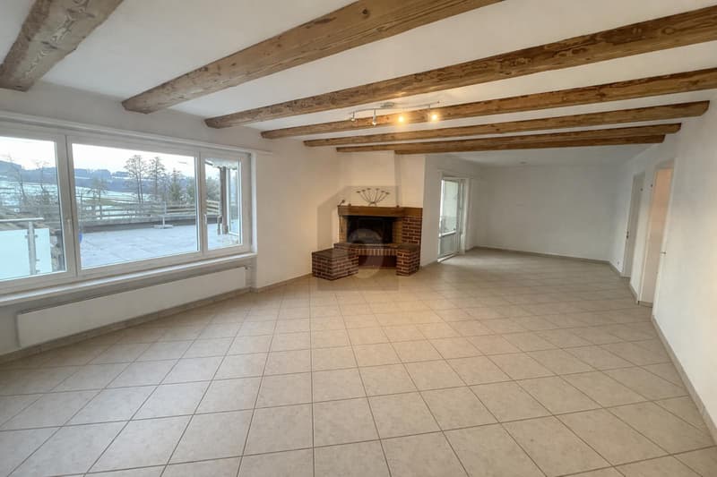 WITH PANORAMIC VIEW AND CONSERVATORY (2)