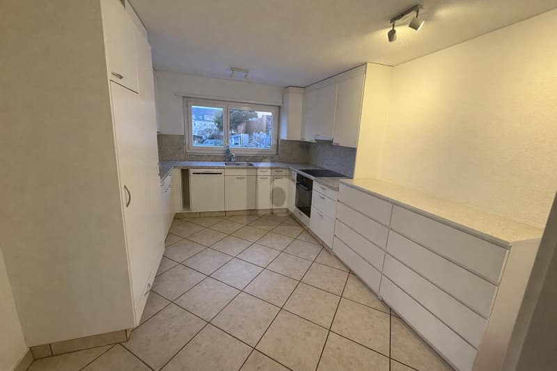 WITH PANORAMIC VIEW AND CONSERVATORY (3)