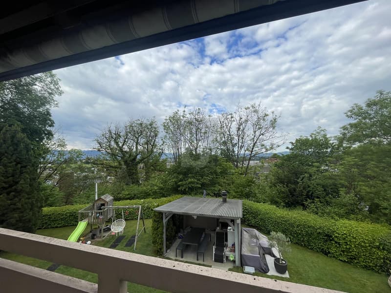 Calme dans le vert (1)