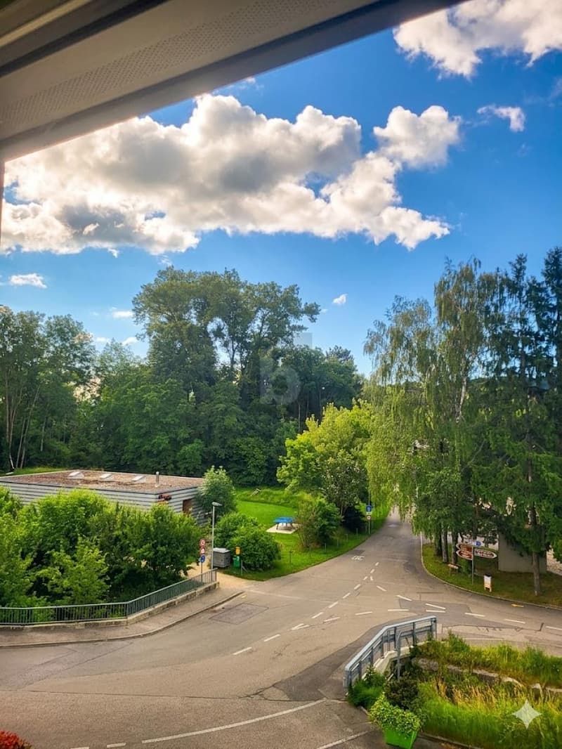 BRIGHT, SPACIOUS & CLOSE TO THE LAKE (5)
