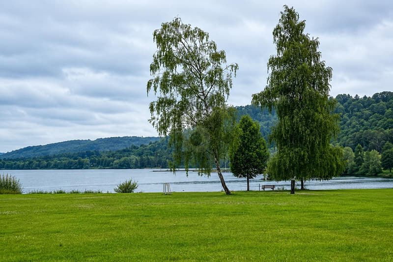 HELL, GERÄUMIG & NAHE AM SEE (1)