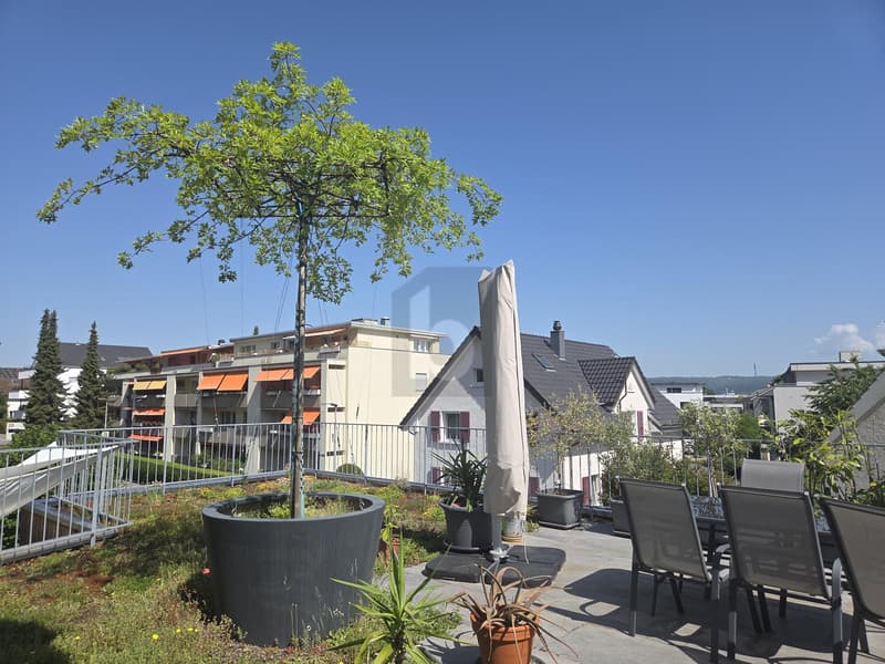 CON 50M² TERRAZZA SOLEGGIATA! (1)