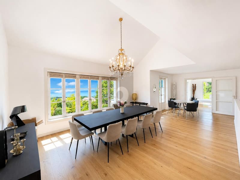 Splendid with panoramic view of the lake (3)
