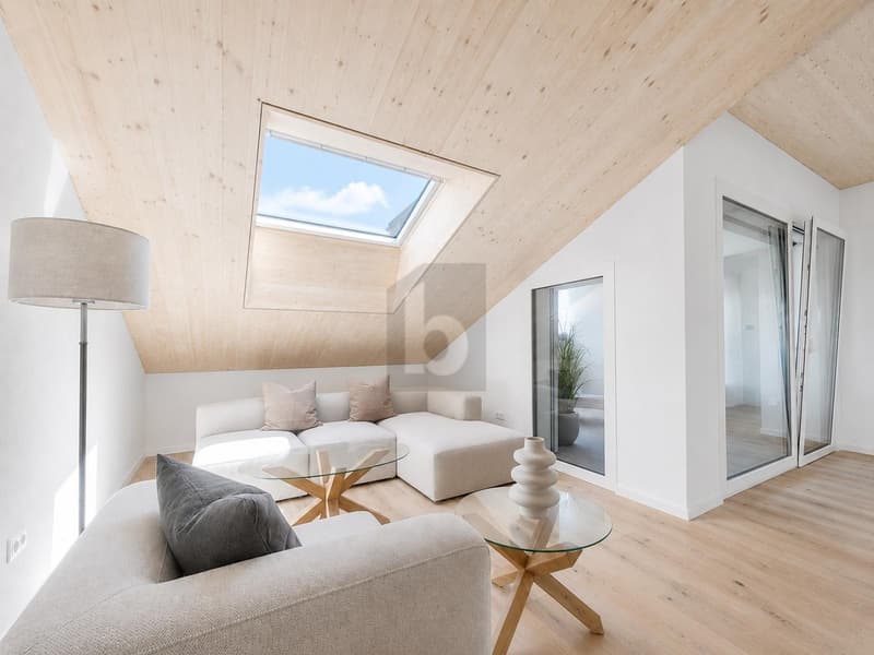 New Building on Lake Werdenberg (B301) (4)