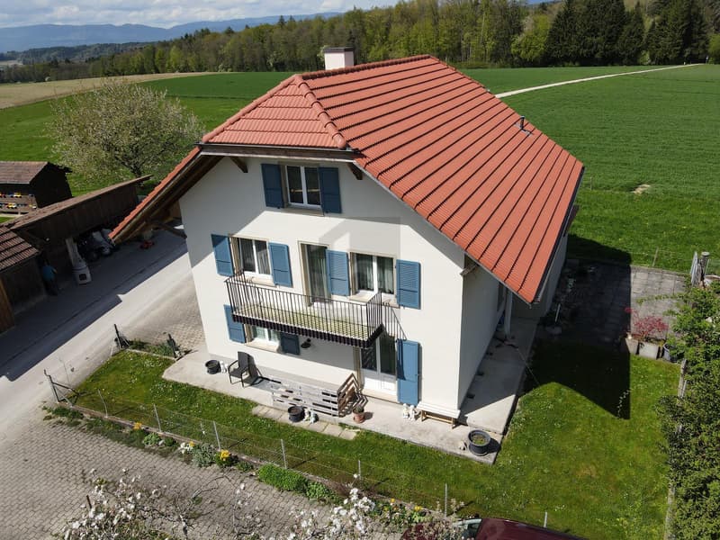 Noyau rénové - Endroit calme au bord de la forêt (1)