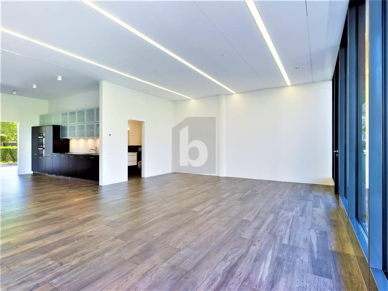 Light-Flooded at Central Location (2)