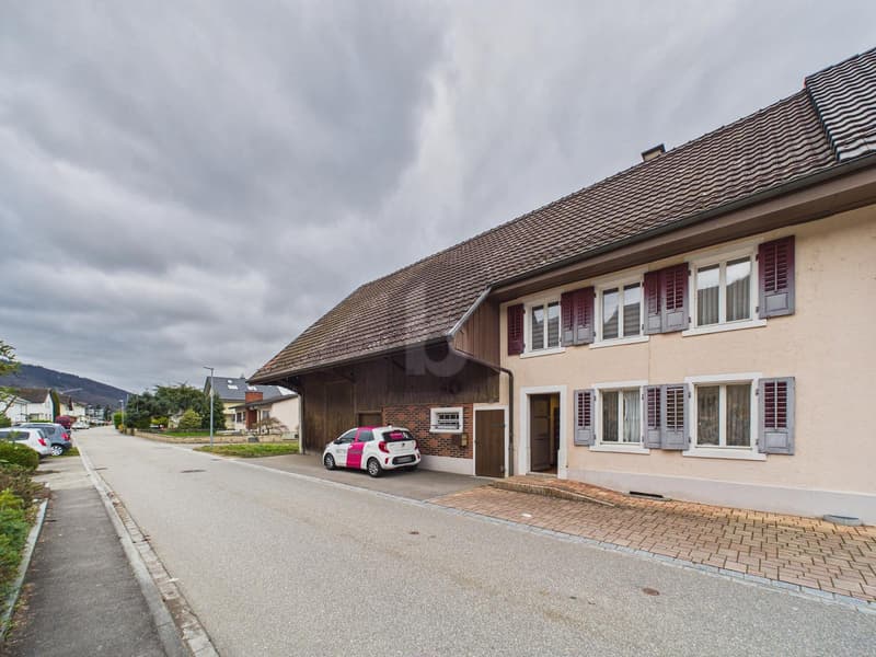 BEAUCOUP D'ESPACE - AVEC GRANGE ET GRAND JARDIN! (1)