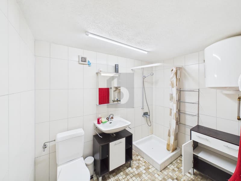 BEAUCOUP D'ESPACE - AVEC GRANGE ET GRAND JARDIN! (4)