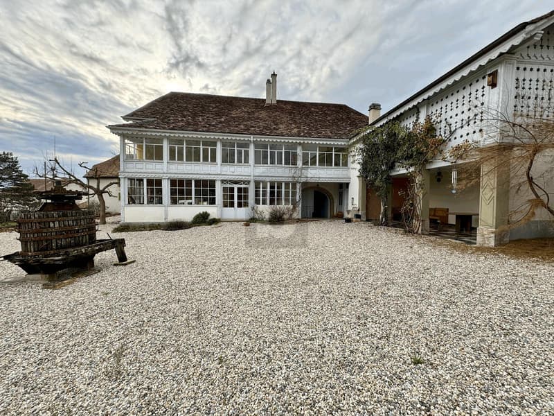 EXCEPTIONAL MANOR HOUSE (1)