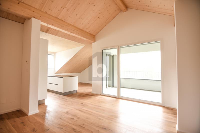 Nouveau bâtiment sur le lac de Werdenberg (B3O3) (1)