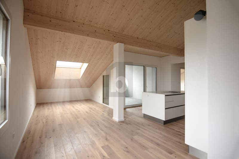 Nouveau bâtiment sur le lac de Werdenberg (B3O3) (5)