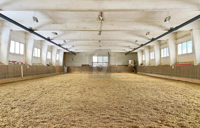 APPRÉCIEZ VOS VACANCES AVEC VOTRE PROPRE CHEVAL (2)