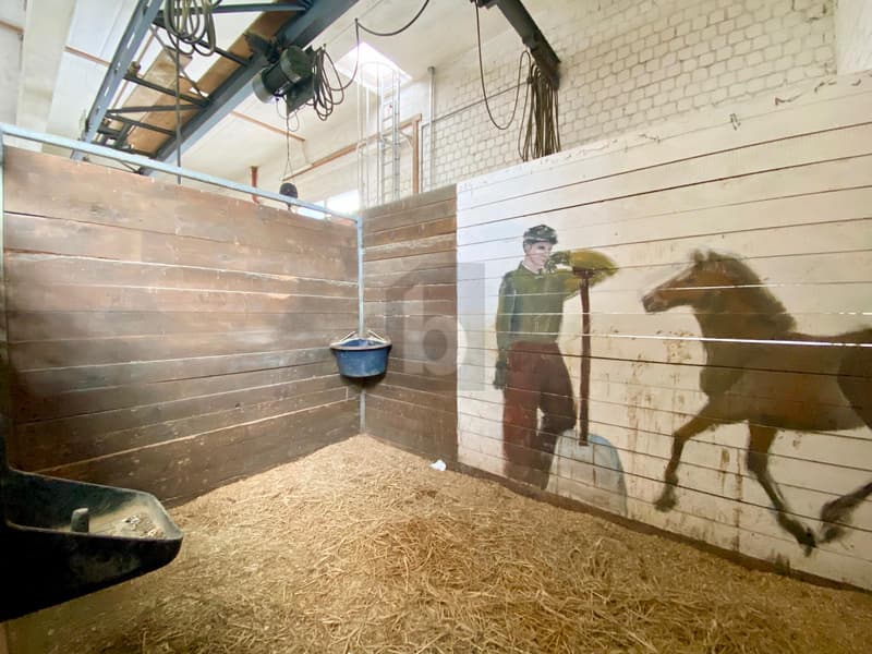APPRÉCIEZ VOS VACANCES AVEC VOTRE PROPRE CHEVAL (4)