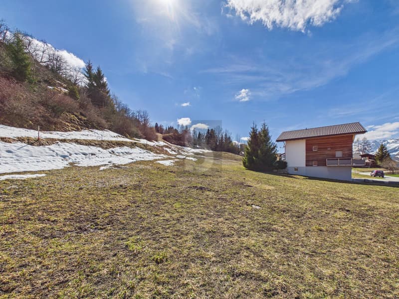 Dream plot with ski-in/ski-out (2)